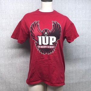 IUP CRIMSON HAWKS T SHIRT